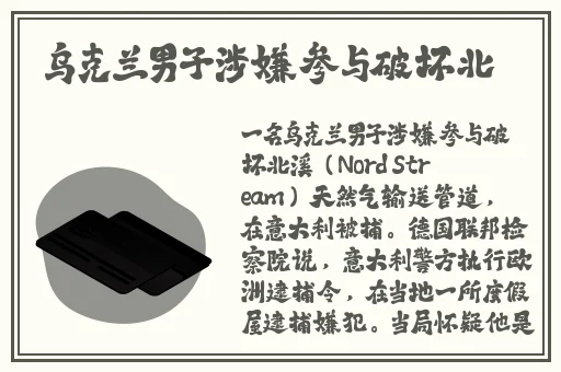 日本marukome大豆肉